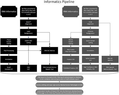 Guideline-Adherent Clinical Validation of a Comprehensive 170-Gene DNA/RNA Panel for Determination of Small Variants, Copy Number Variations, Splice Variants, and Fusions on a Next-Generation Sequencing Platform in the CLIA Setting